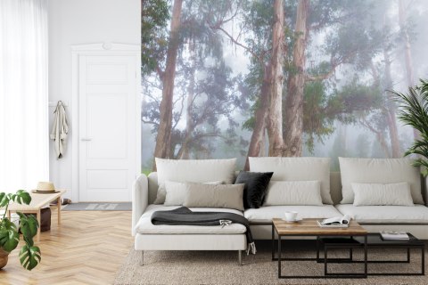 Fototapeta Las We Mgle Vinyl Gładki 152.5x104 FT-478-VGL