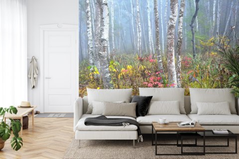 Fototapeta Las We Mgle Vinyl Gładki 152.5x104 FT-479-VGL