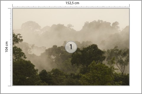 Fototapeta Las We Mgle Vinyl Gładki 152.5x104 FT-490-VGL