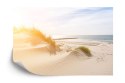 Fototapeta Plaża Morze Wydmy Flizelina 208x146 FT-393-VEXL