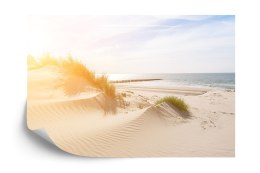 Fototapeta Plaża Morze Wydmy Flizelina 208x146 FT-393-VEXL