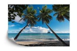 Fototapeta Plaża Ocean Palmy Flizelina 208x146 FT-394-VEXL
