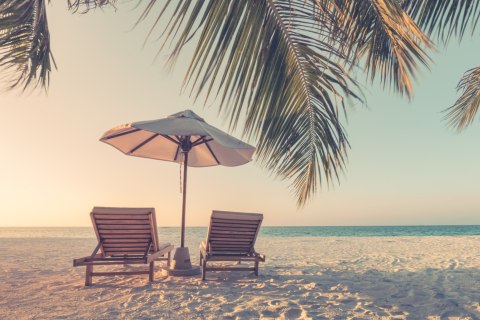 Fototapeta Plaża Ocean Palmy Flizelina 208x146 FT-396-VEXL