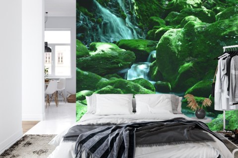 Fototapeta Wodospad Skały Flizelina 208x146 FT-581-VEXL