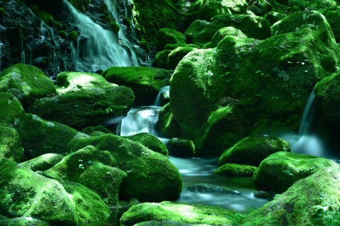 Fototapeta Wodospad Skały Vinyl Gładki 152.5x104 FT-581-VGL