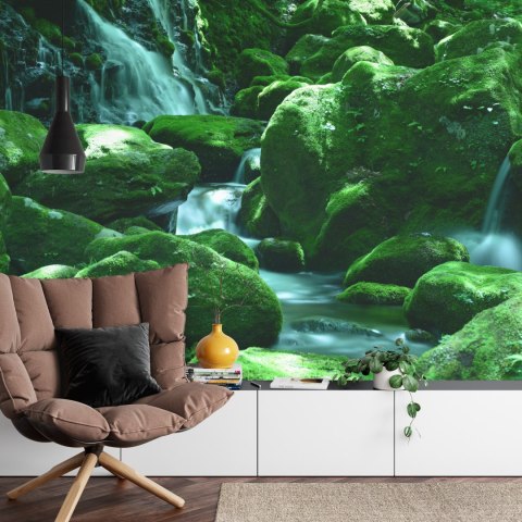 Fototapeta Wodospad Skały Vinyl Gładki 152.5x104 FT-581-VGL