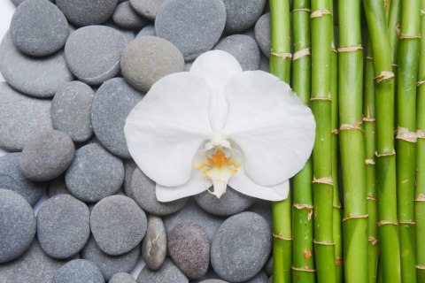 Fototapeta Bambusy Z Kamieniami I Orchideą Flizelina 208x146 FT-2488-VEXL