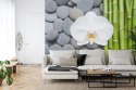 Fototapeta Bambusy Z Kamieniami I Orchideą Flizelina 208x146 FT-2488-VEXL