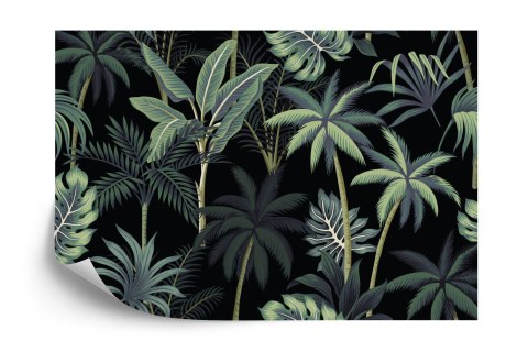 Fototapeta Drzewa I Liście Palmowe Vinyl Gładki 152.5x104 FT-2228-VGL