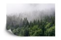 Fototapeta Drzewa We Mgle Flizelina 208x146 FT-2797-VEXL