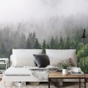 Fototapeta Drzewa We Mgle Flizelina 208x146 FT-2797-VEXL
