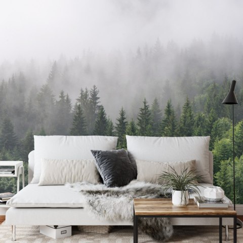 Fototapeta Drzewa We Mgle Flizelina 208x146 FT-2797-VEXL