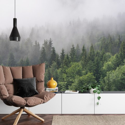 Fototapeta Drzewa We Mgle Flizelina 208x146 FT-2797-VEXL