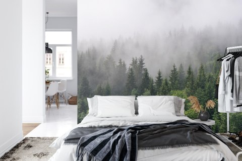 Fototapeta Drzewa We Mgle Flizelina 208x146 FT-2797-VEXL