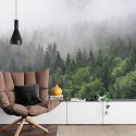 Fototapeta Drzewa We Mgle Vinyl Gładki 152.5x104 FT-2797-VGL