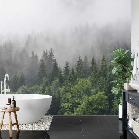 Fototapeta Drzewa We Mgle Vinyl Gładki 152.5x104 FT-2797-VGL