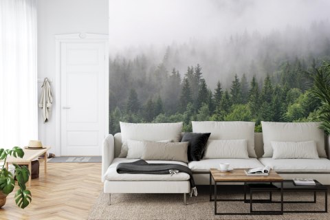 Fototapeta Drzewa We Mgle Vinyl Gładki 152.5x104 FT-2797-VGL