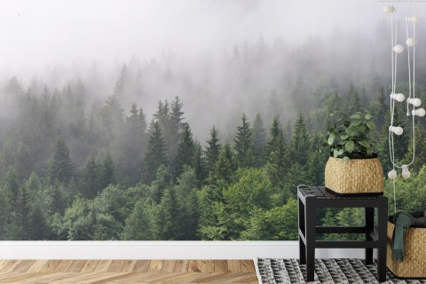 Fototapeta Drzewa We Mgle Vinyl Gładki 152.5x104 FT-2797-VGL