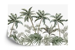 Fototapeta Palmy I Tropikalne Rośliny Vinyl Gładki 152.5x104 FT-2780-VGL