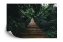 Fototapeta Wiszący Most W Lesie Flizelina 208x146 FT-4050-VEXL