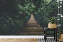 Fototapeta Wiszący Most W Lesie Vinyl Gładki 152.5x104 FT-4050-VGL