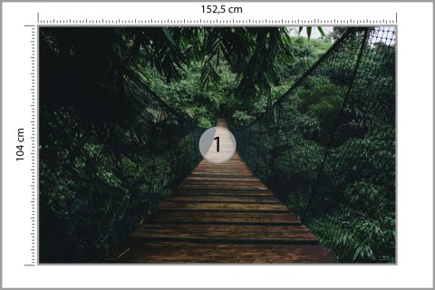 Fototapeta Wiszący Most W Lesie Vinyl Gładki 152.5x104 FT-4050-VGL