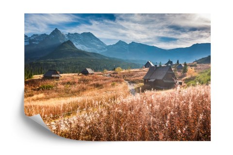 Fototapeta Góry Flizelina 208x146 FT-115-VEXL