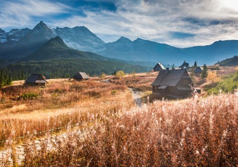 Fototapeta Góry Flizelina 208x146 FT-115-VEXL