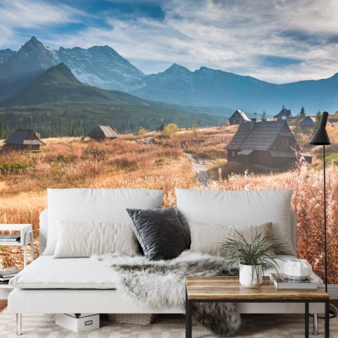 Fototapeta Góry Flizelina 208x146 FT-115-VEXL