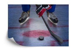 Fototapeta Hokeista Na Lodzie Flizelina 208x146 FT-3833-VEXL