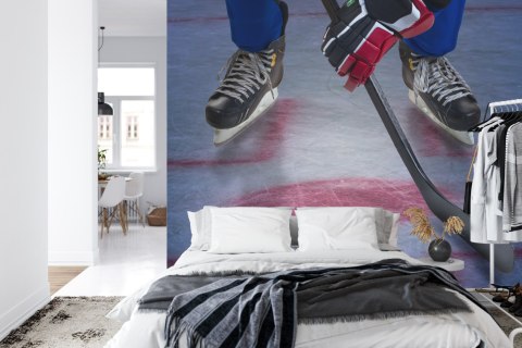 Fototapeta Hokeista Na Lodzie Flizelina 208x146 FT-3833-VEXL