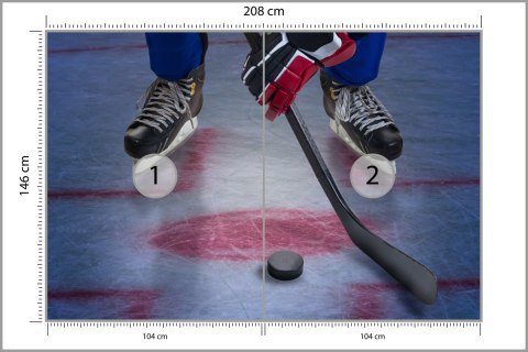 Fototapeta Hokeista Na Lodzie Flizelina 208x146 FT-3833-VEXL