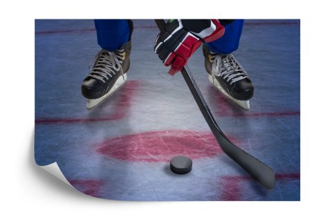 Fototapeta Hokeista Na Lodzie Vinyl Gładki 152.5x104 FT-3833-VGL
