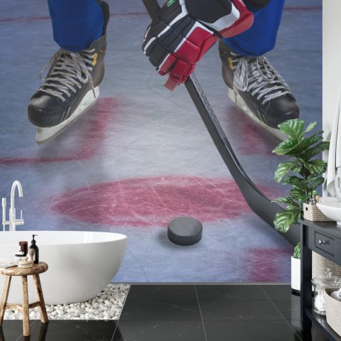 Fototapeta Hokeista Na Lodzie Vinyl Gładki 152.5x104 FT-3833-VGL