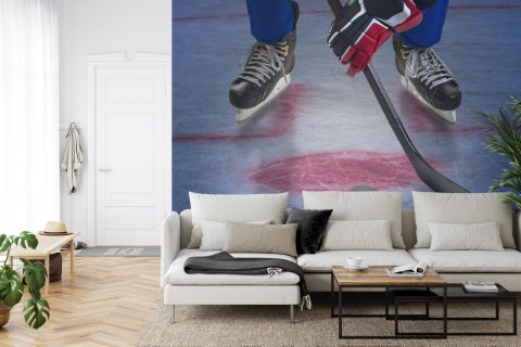 Fototapeta Hokeista Na Lodzie Vinyl Gładki 152.5x104 FT-3833-VGL
