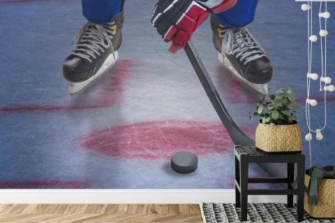 Fototapeta Hokeista Na Lodzie Vinyl Gładki 152.5x104 FT-3833-VGL