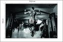 Fototapeta Kulturysta Podczas Vinyl Gładki 152.5x104 FT-3957-VGL