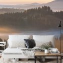 Fototapeta Las We Mgle Flizelina 208x146 FT-23-VEXL