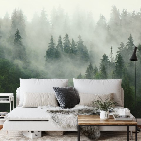 Fototapeta Las We Mgle Flizelina 208x146 FT-25-VEXL