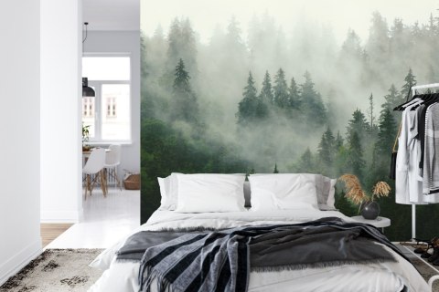 Fototapeta Las We Mgle Flizelina 208x146 FT-25-VEXL