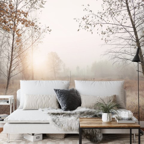 Fototapeta Las We Mgle Flizelina 208x146 FT-465-VEXL