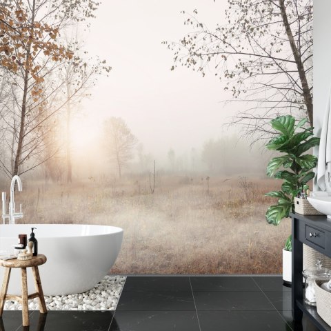 Fototapeta Las We Mgle Flizelina 208x146 FT-465-VEXL