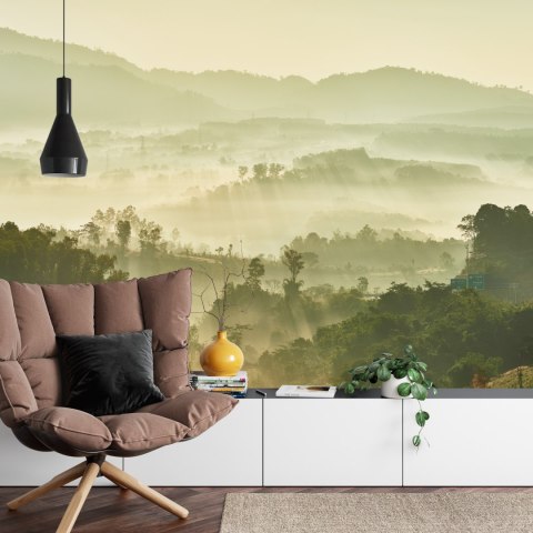 Fototapeta Las We Mgle Flizelina 208x146 FT-489-VEXL