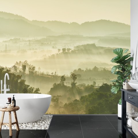 Fototapeta Las We Mgle Flizelina 208x146 FT-489-VEXL