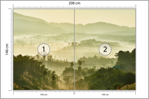 Fototapeta Las We Mgle Flizelina 208x146 FT-489-VEXL