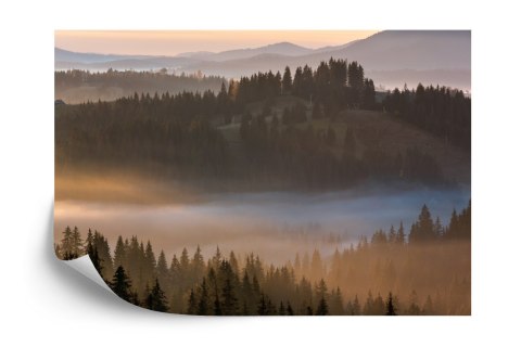 Fototapeta Las We Mgle Vinyl Gładki 152.5x104 FT-23-VGL