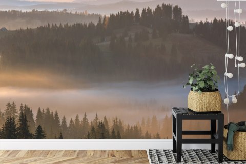 Fototapeta Las We Mgle Vinyl Gładki 152.5x104 FT-23-VGL