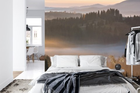 Fototapeta Las We Mgle Vinyl Gładki 152.5x104 FT-23-VGL