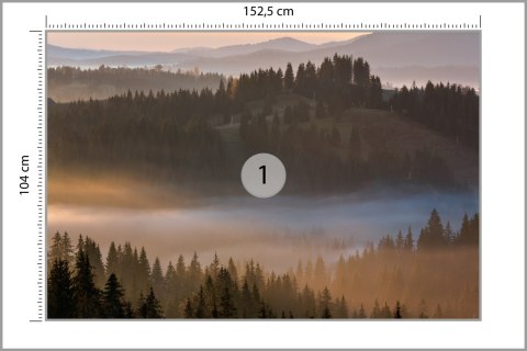 Fototapeta Las We Mgle Vinyl Gładki 152.5x104 FT-23-VGL