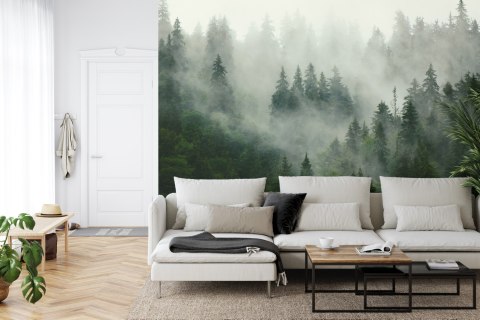 Fototapeta Las We Mgle Vinyl Gładki 152.5x104 FT-25-VGL